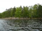 Privlac_ASNEN_2009_I_cast-107.JPG