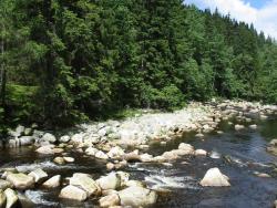 Přívlač Lipno - Vltava po vyrovnávačkou